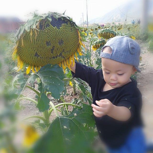 祉战铭殇