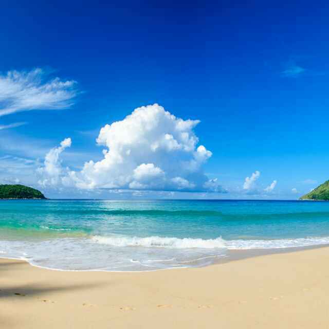 罗海龙