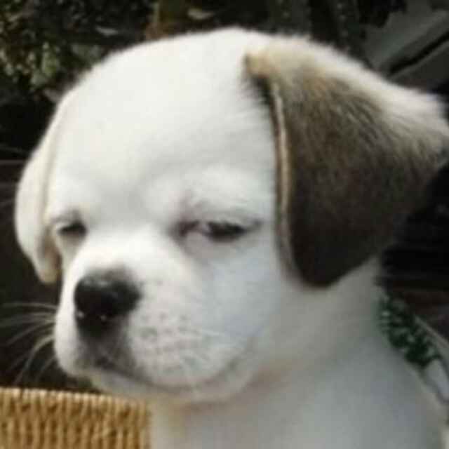 不是我说