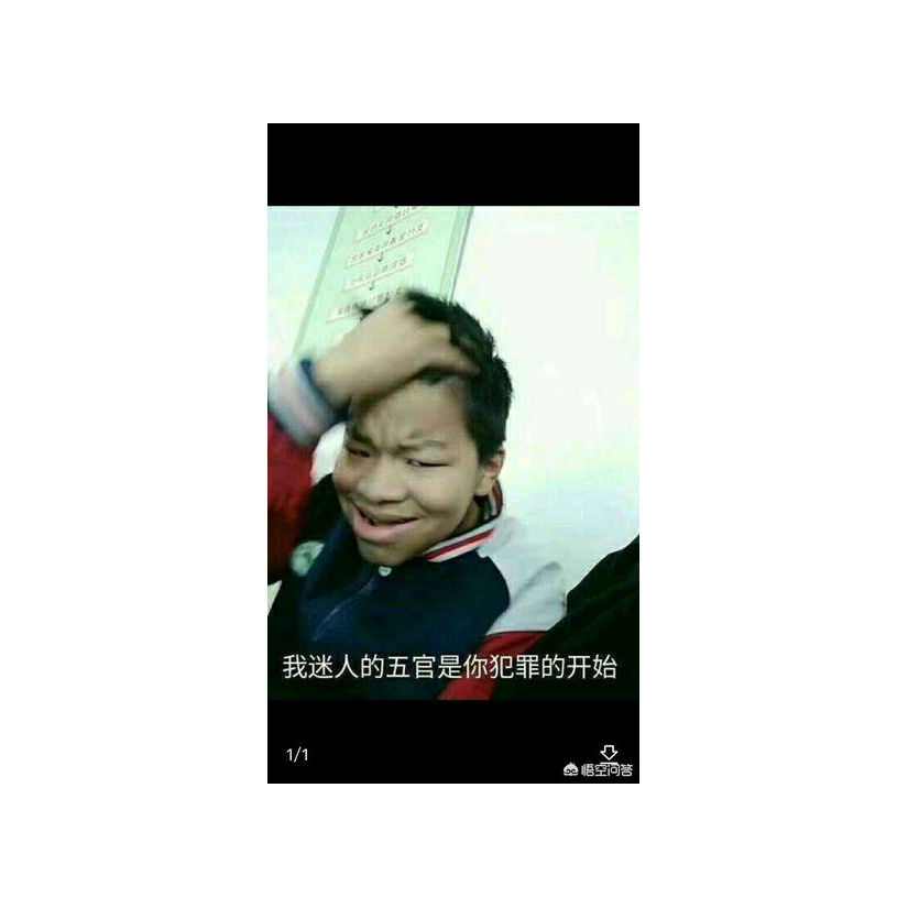 力拔山兮气盖世时不利兮骓不逝