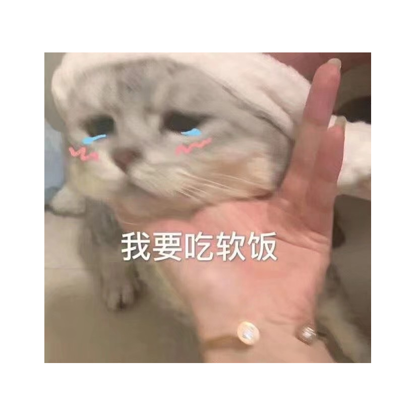 樱花丶