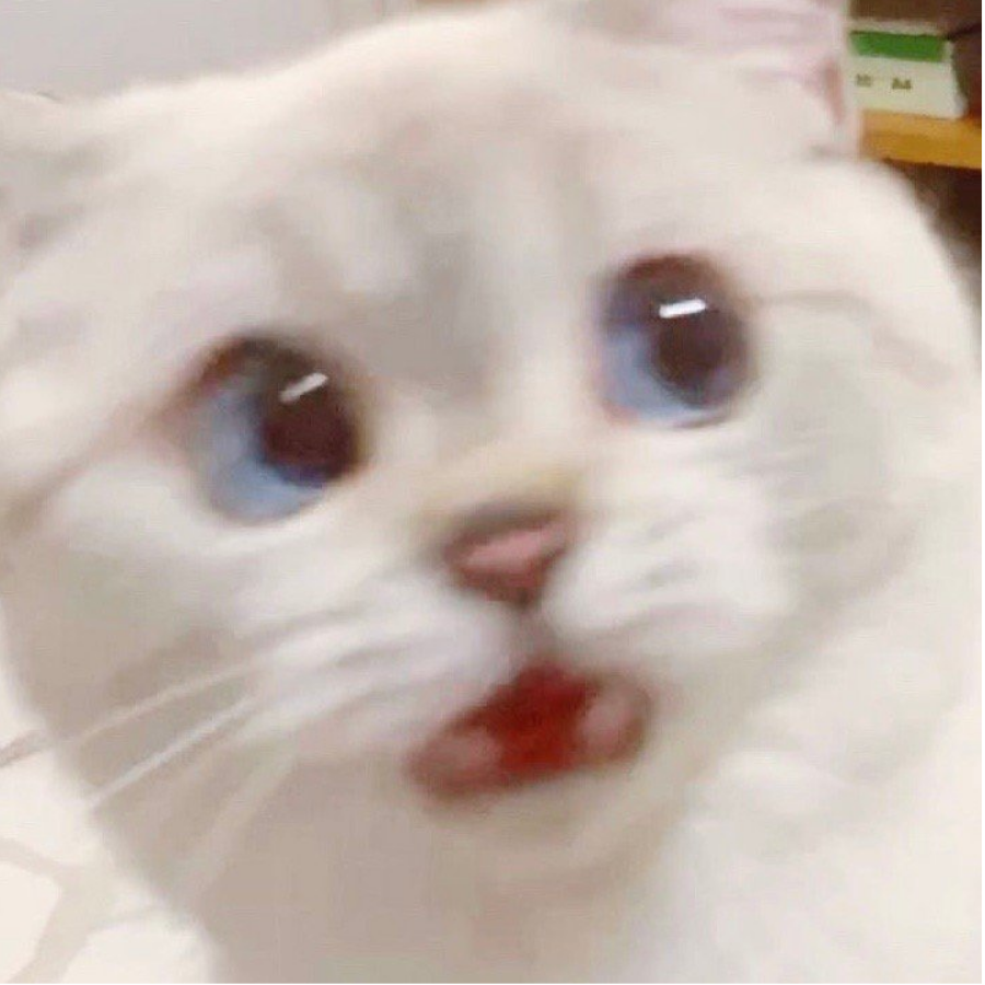 七木对子