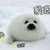 一定要想我
