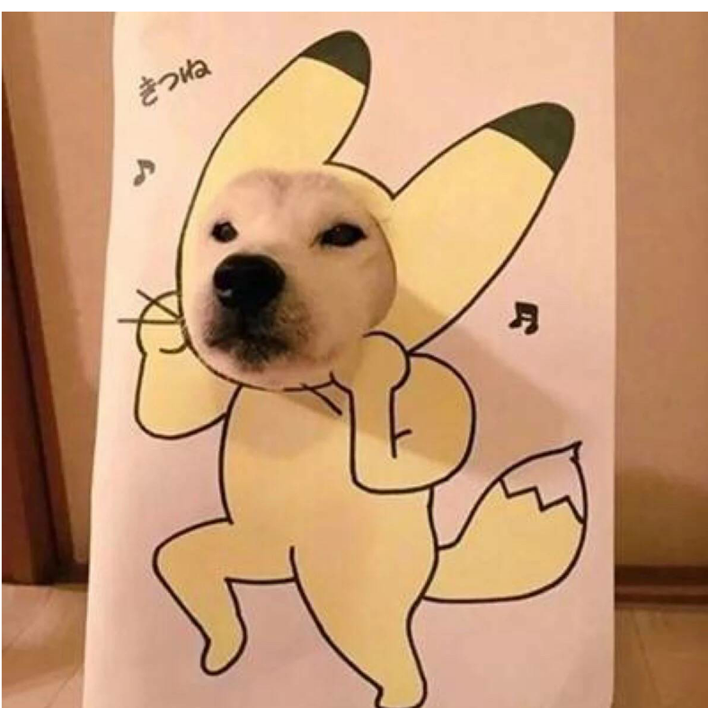宇智波丁真