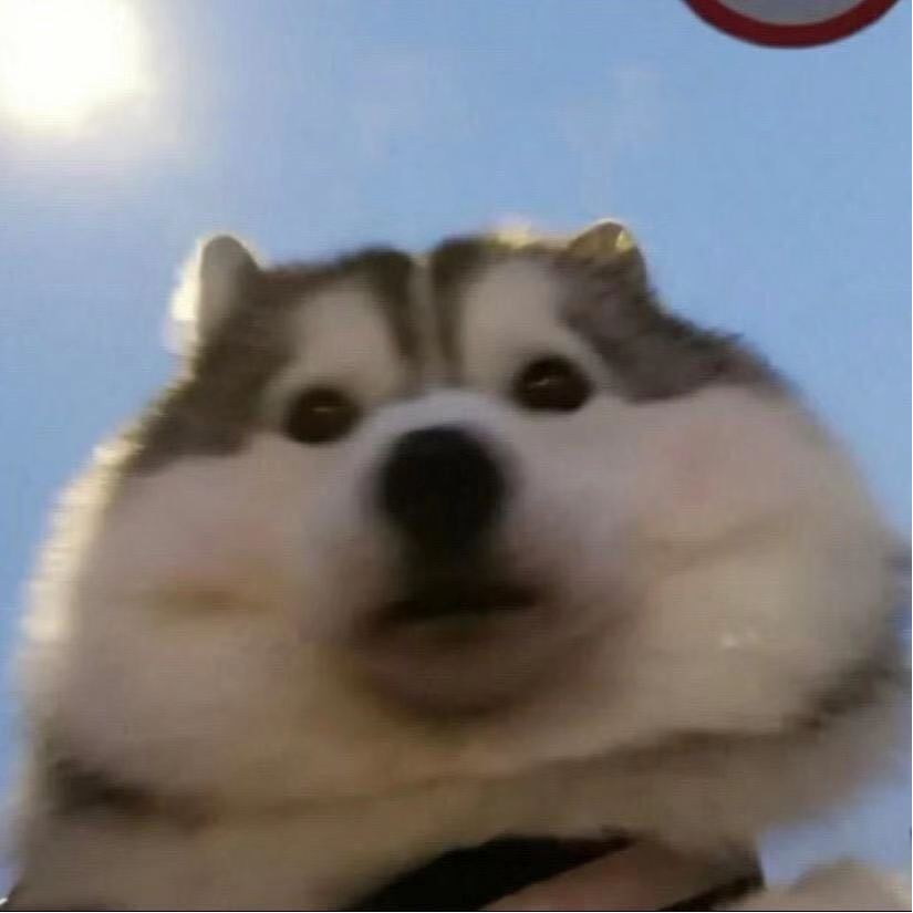 感言