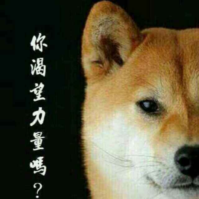 大🐷