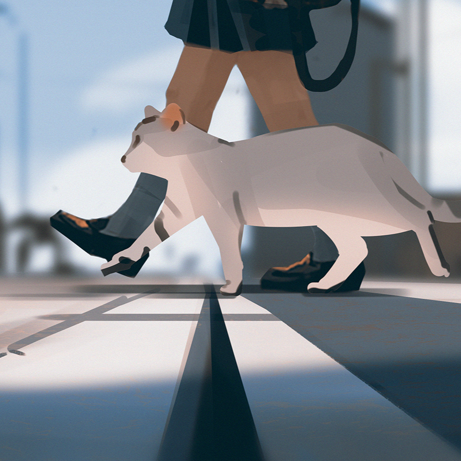 猫的薛定谔