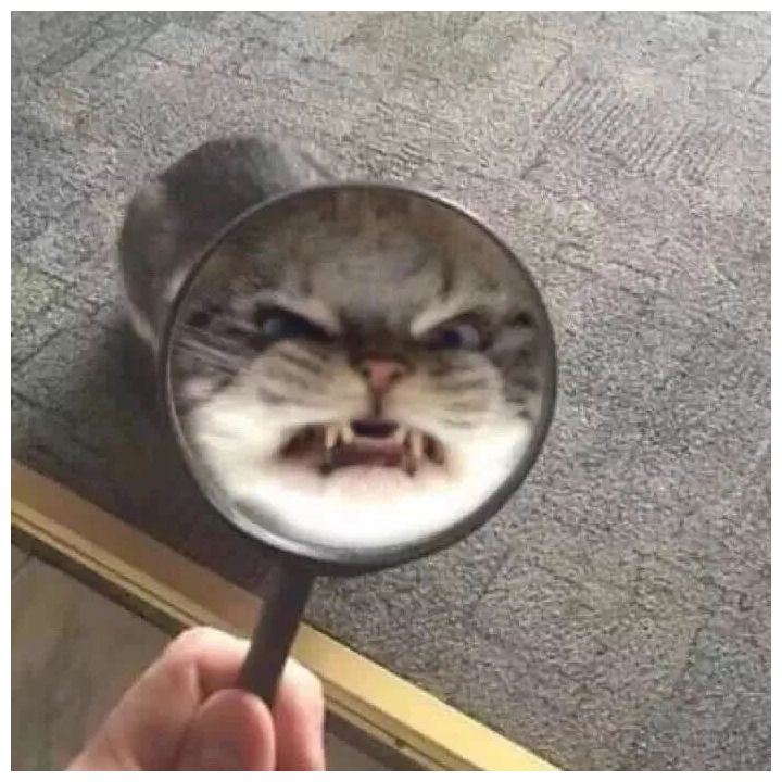 朝歌