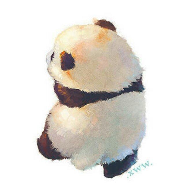 不卖萌的犀利哥