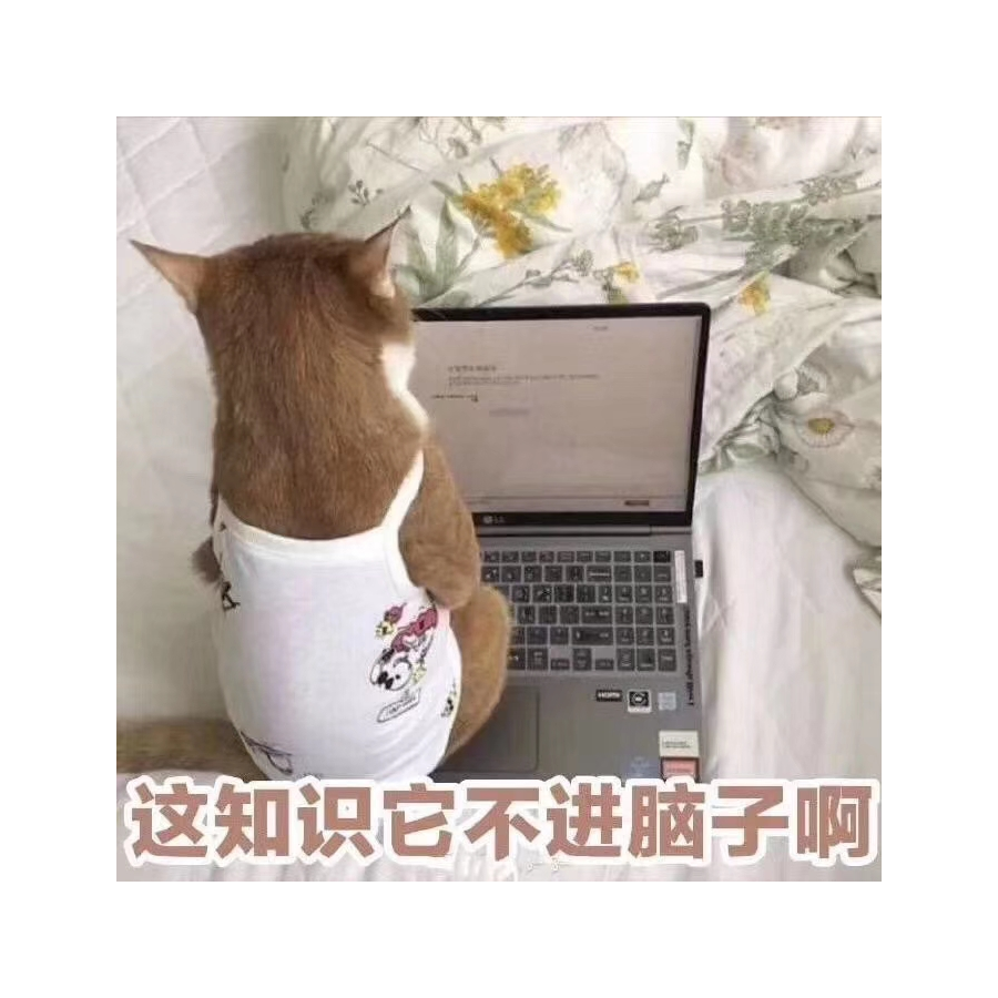 忘忧灬