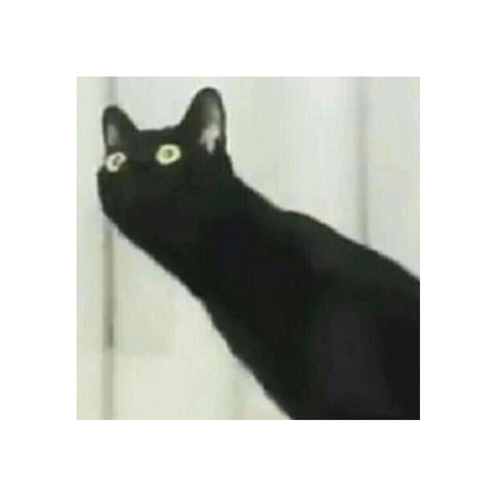 咩了个咪