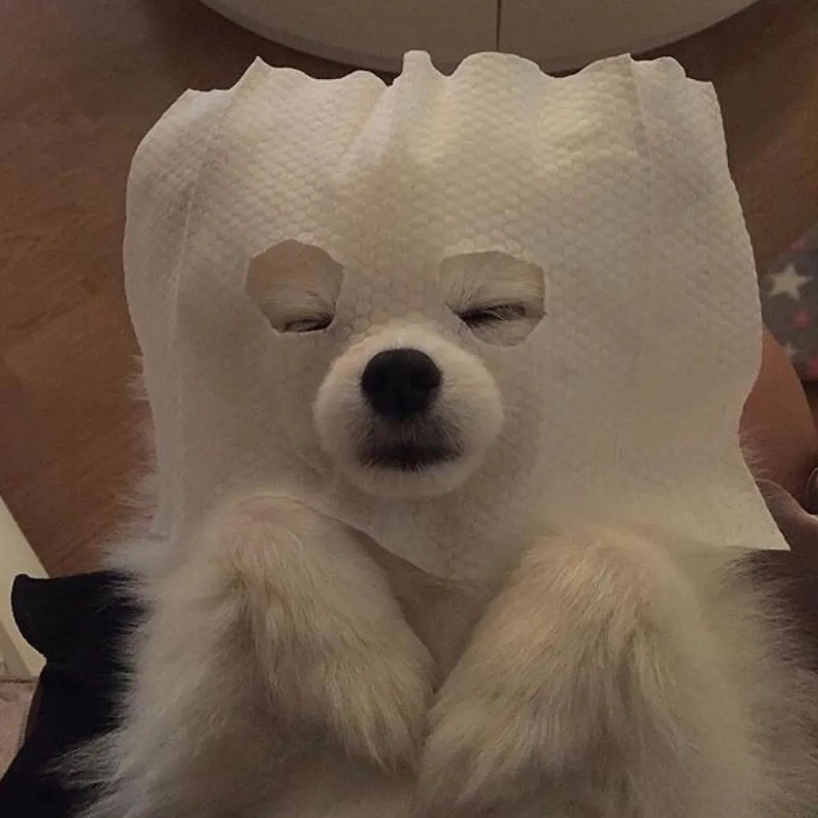 啥玩意？