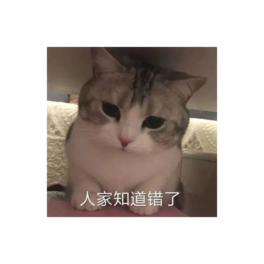 赵小猫。