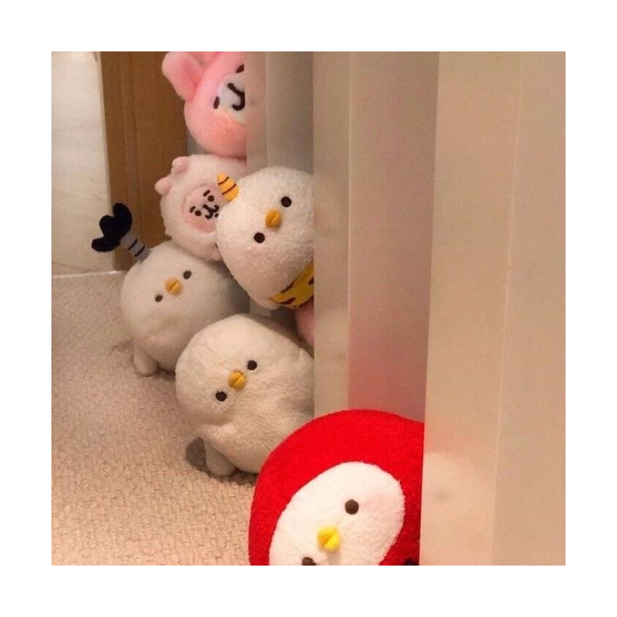 ʚ 程 ɞ