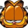 加菲猫