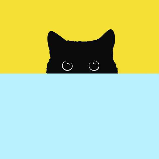 笙。