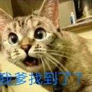 小二狗