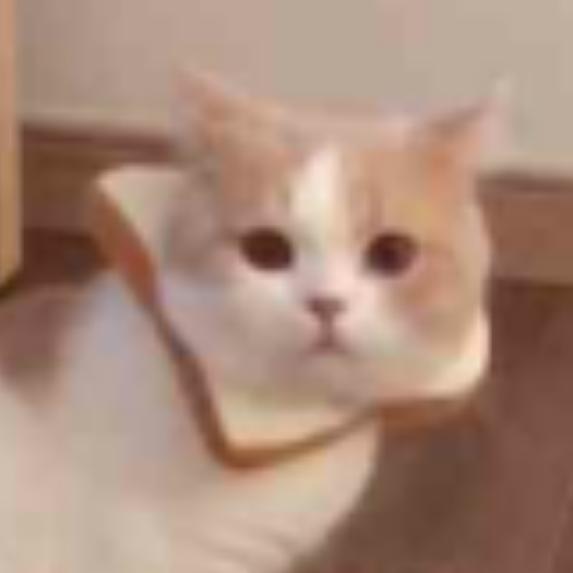 蛙