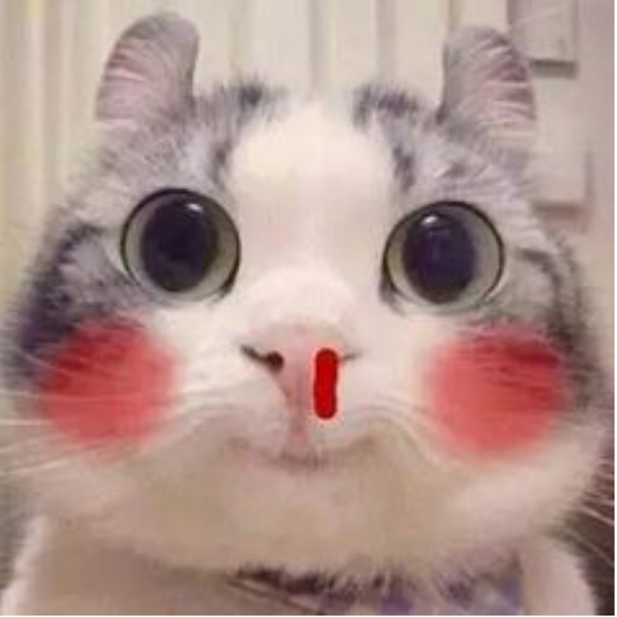 ༺ཌ阳࿆光࿆正࿆好࿆ད༻