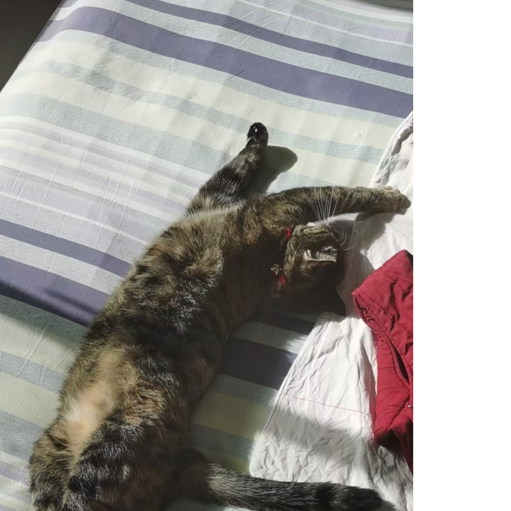 小满