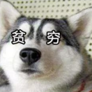 哈哈哈哈