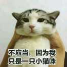 许多多多先生