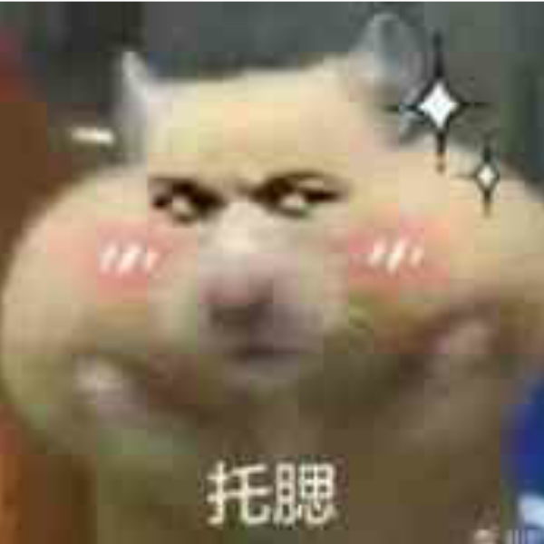路边的小耗子