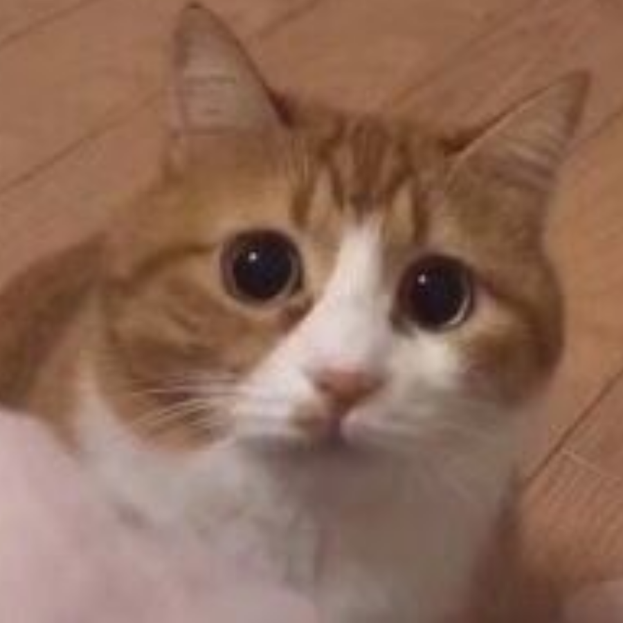 喵