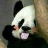 可惜 ~ 是你