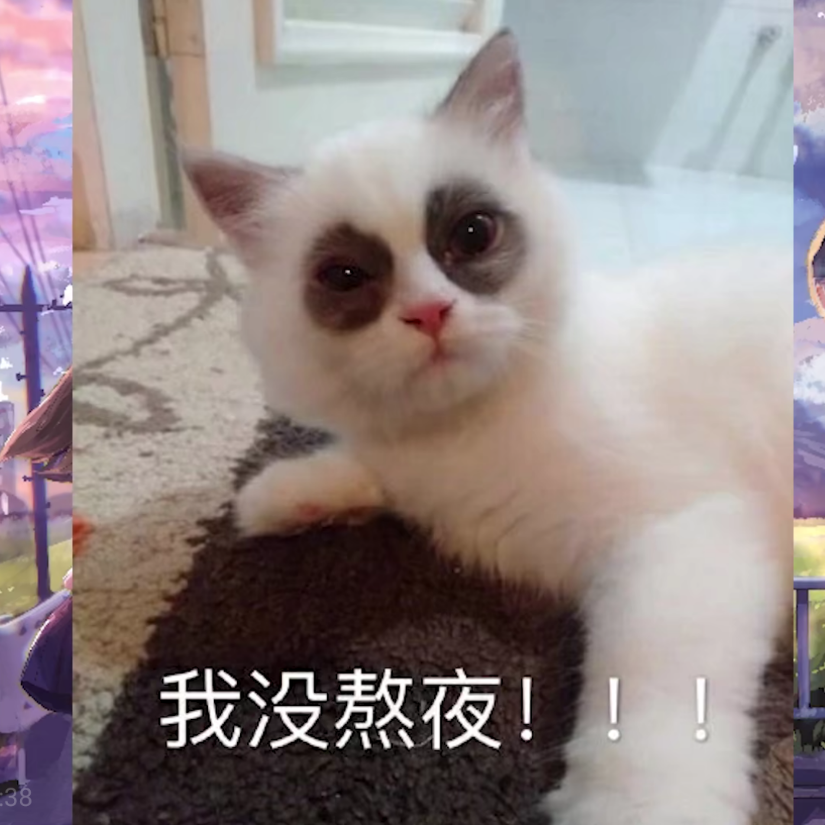 雲猪