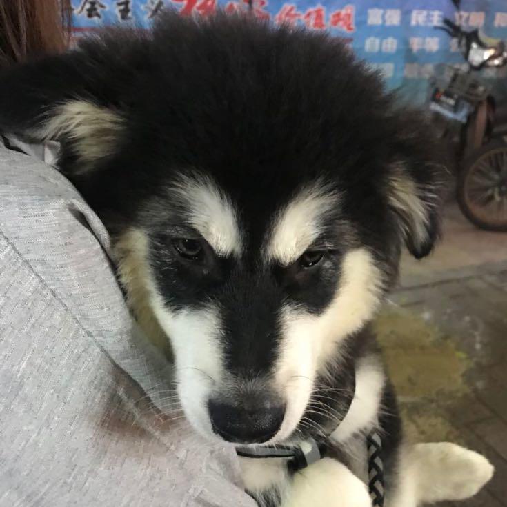 伟文