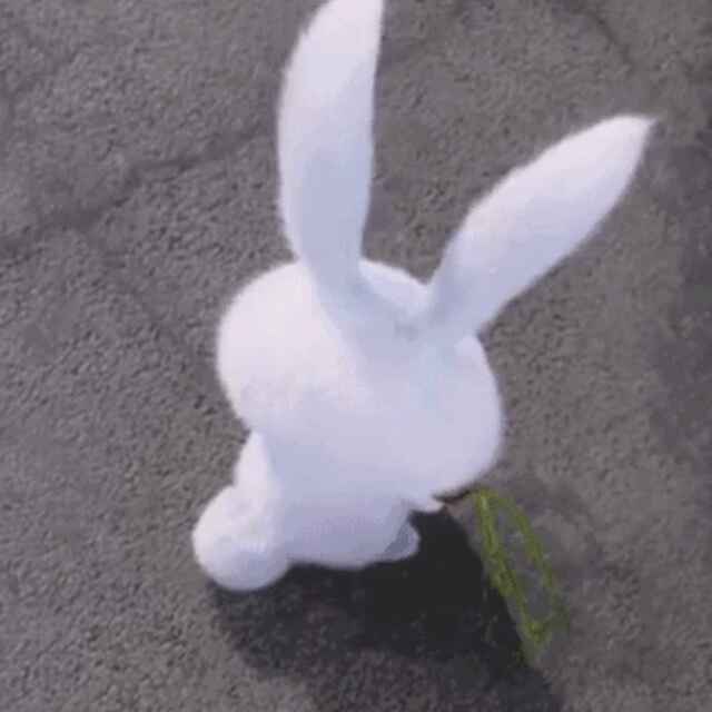 低调狗