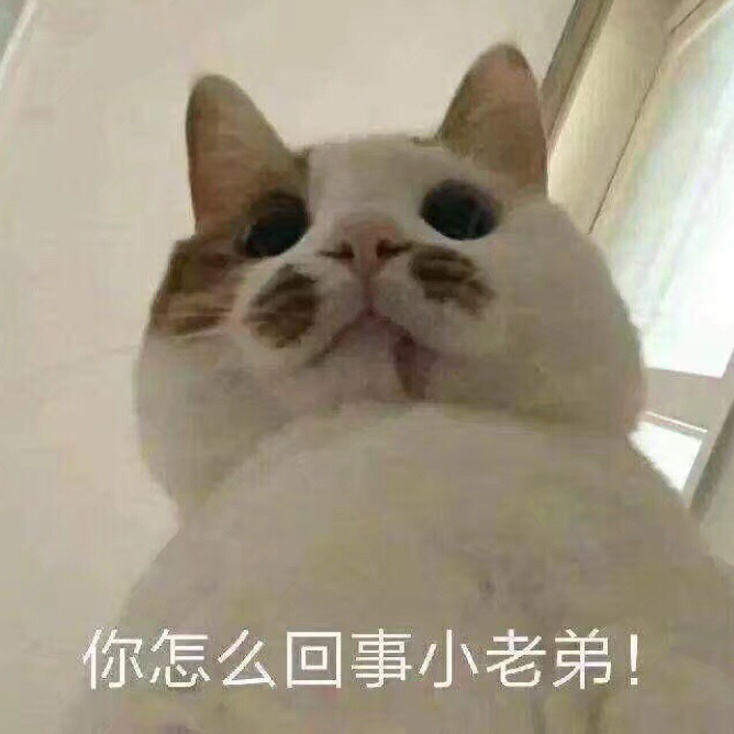 Pro୧(﹒︠ᴗ﹒︡)୨