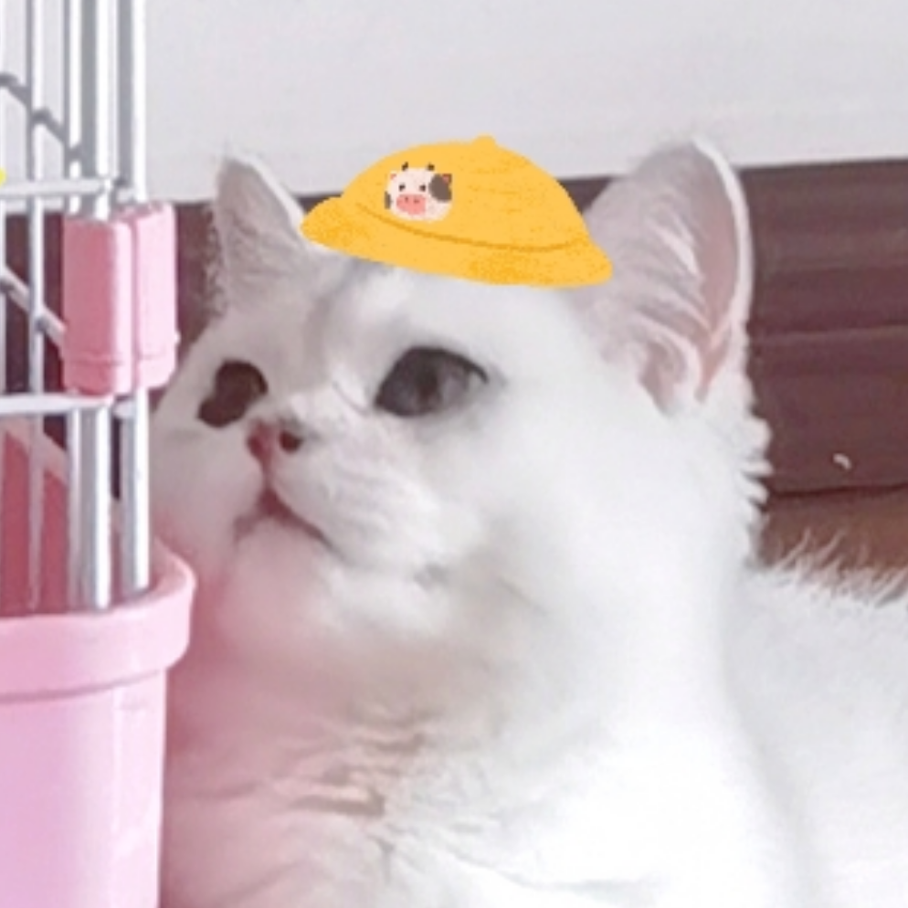 骑着猪猪冲鸭