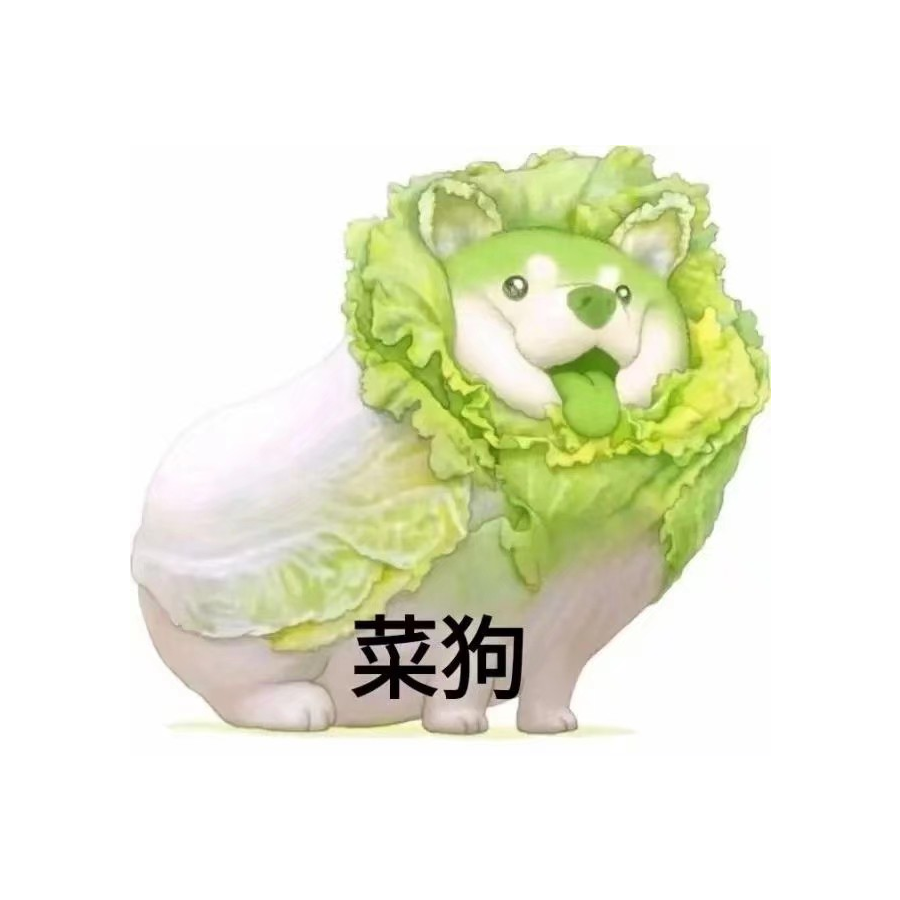 云中飞鸿影