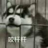 滕滕滕