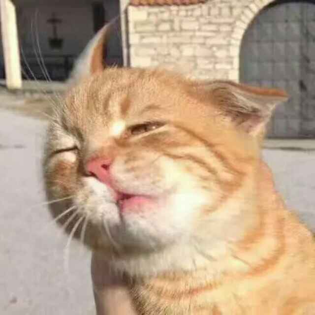 User7343203