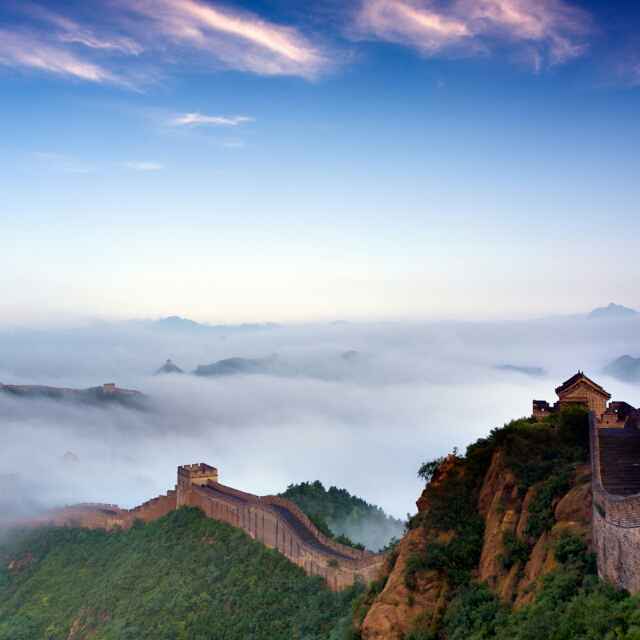 向来痴