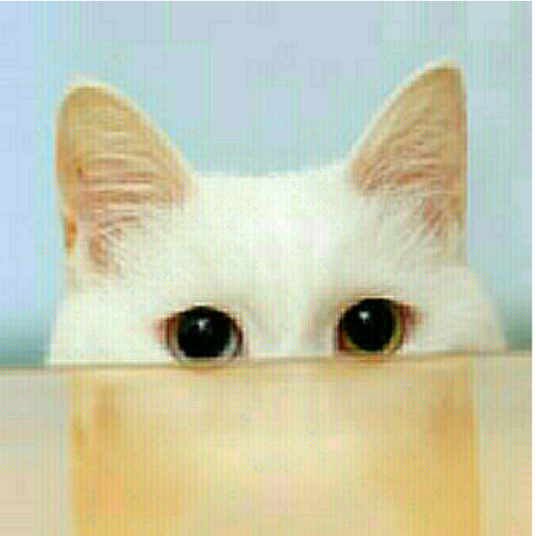 Maru