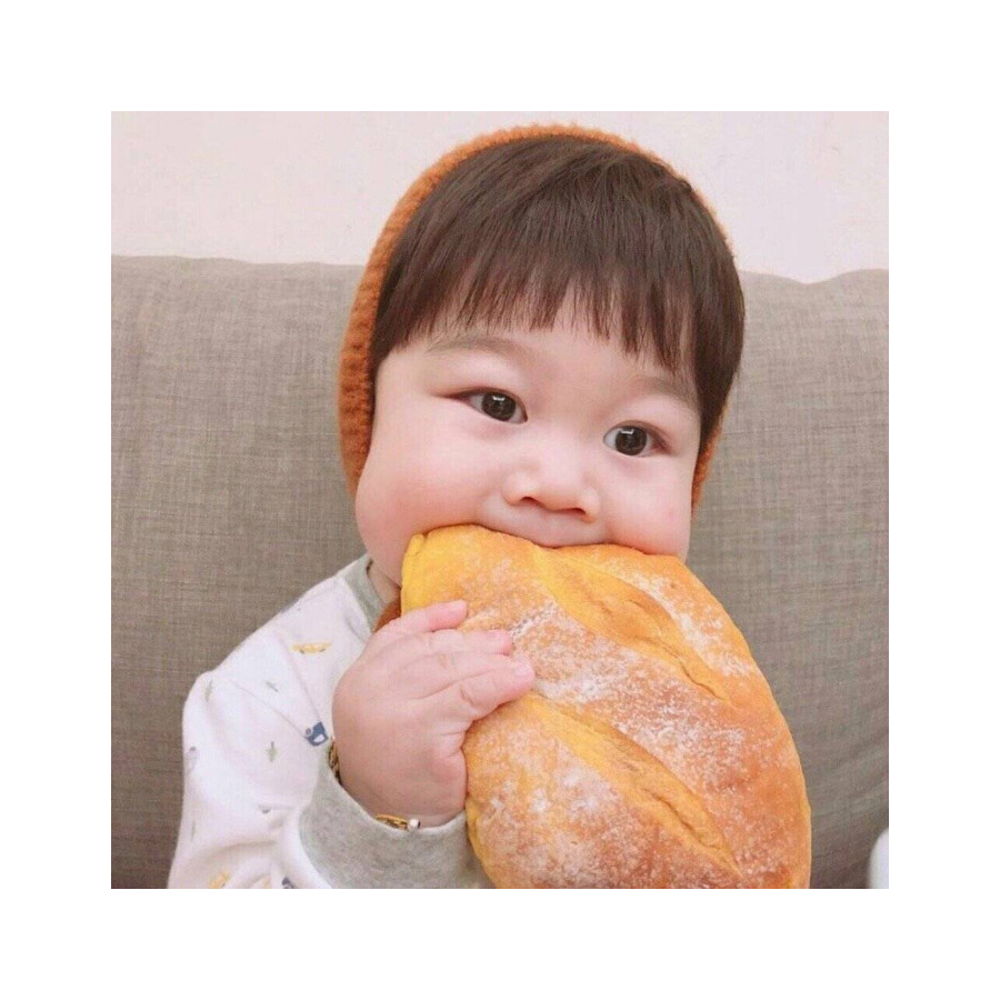 知不知