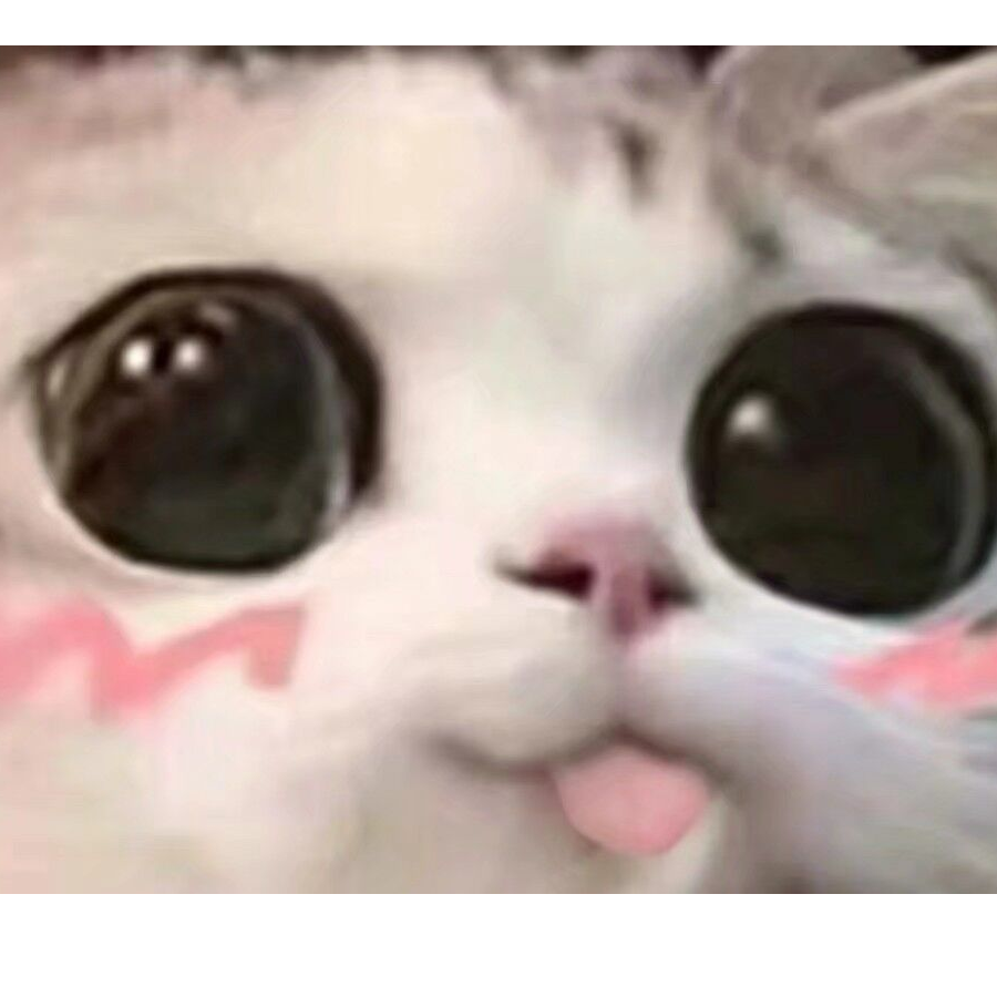 韶华.