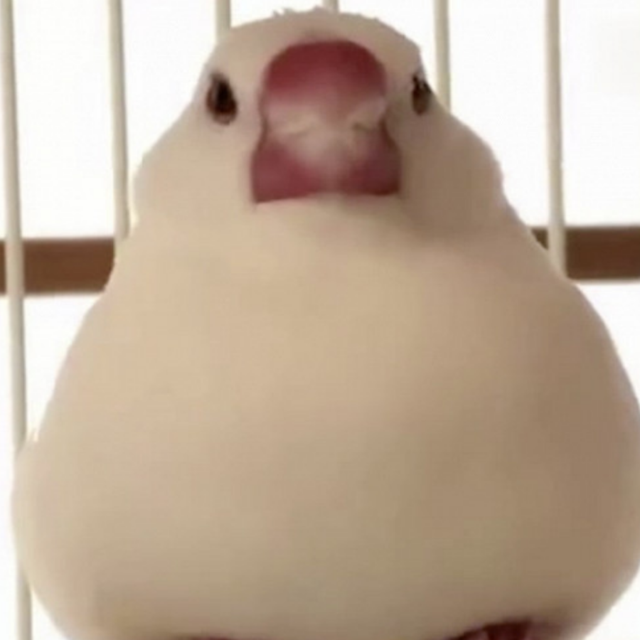伞3