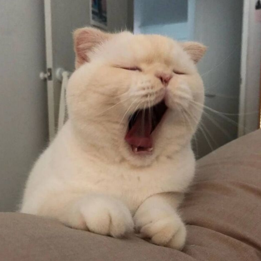 ろくがつ