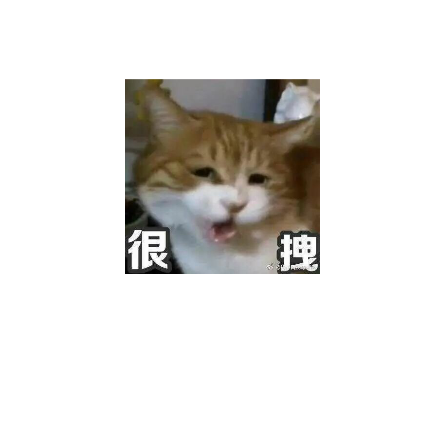 User11245903