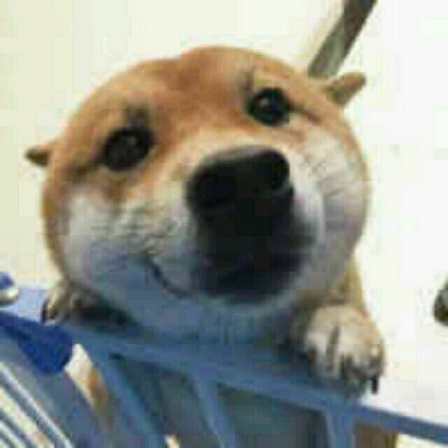 树不挽。
