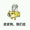 晓风vision