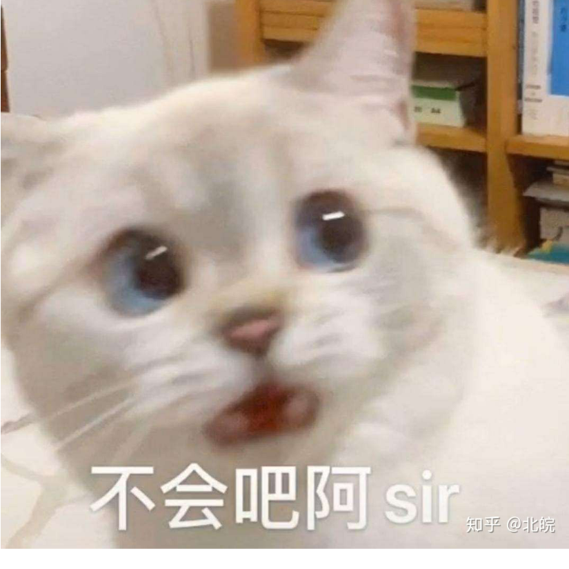 大鲤鱼