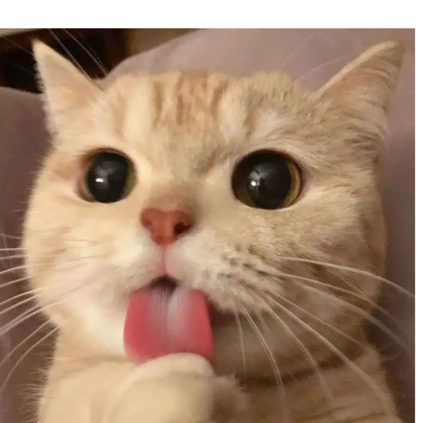 我们仍未知道那天看见花的名字