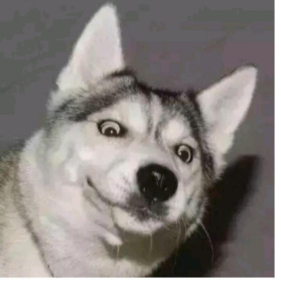 叫我王富贵