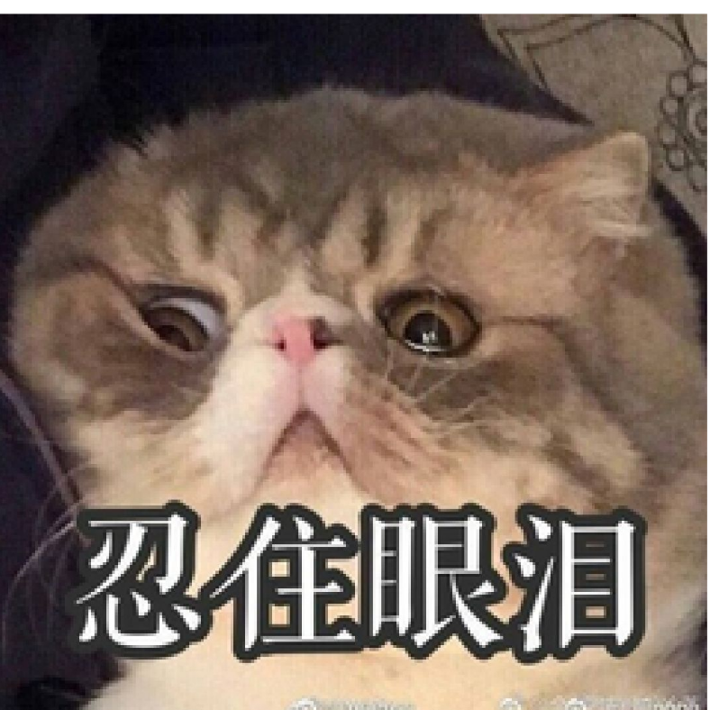 闰土的那只猹